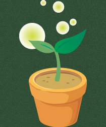 ��������ǿ